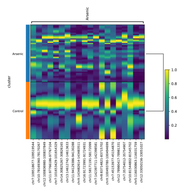 ../_images/tutorial_scATAC-seq_mouse_atherosclerotic_plaque_immune_cells_16_0.png
